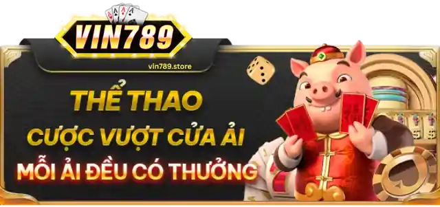 Khuyến Mãi VIN789